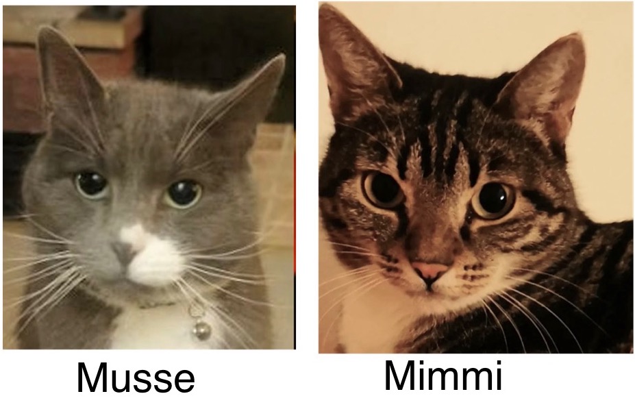 Musse och Mimmi bild med text